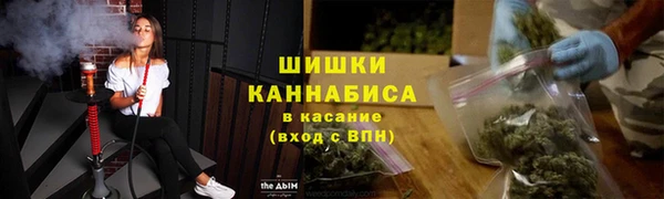 ГАЛЛЮЦИНОГЕННЫЕ ГРИБЫ Зеленокумск