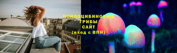 амф Зеленодольск