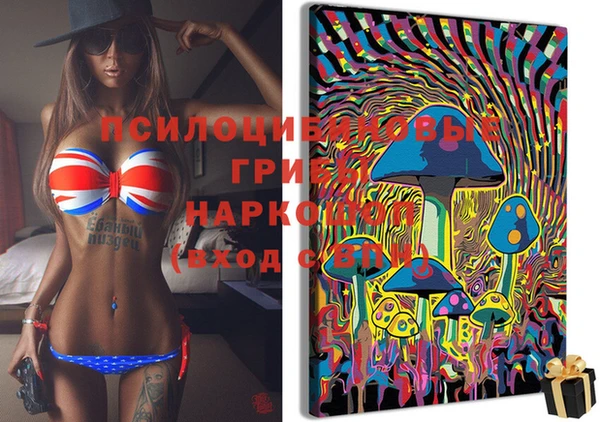 ГАЛЛЮЦИНОГЕННЫЕ ГРИБЫ Зеленокумск