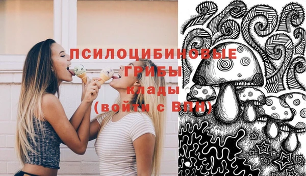 ГАЛЛЮЦИНОГЕННЫЕ ГРИБЫ Зеленокумск
