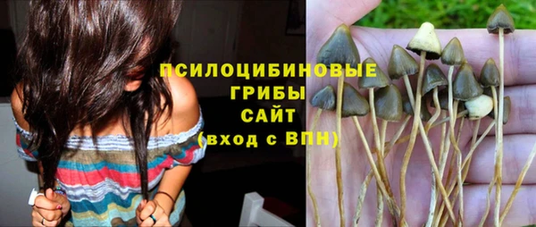ГАЛЛЮЦИНОГЕННЫЕ ГРИБЫ Зерноград