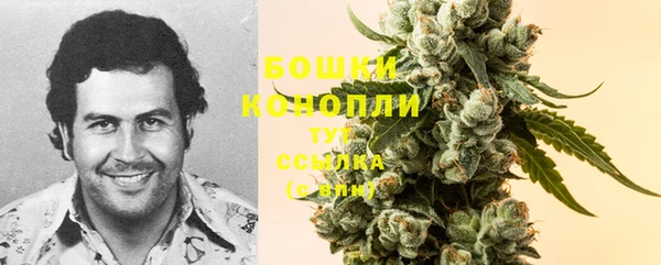 ГАЛЛЮЦИНОГЕННЫЕ ГРИБЫ Зерноград