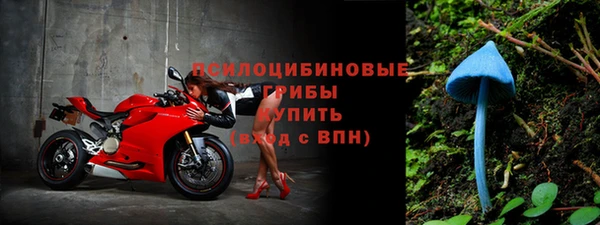 винт Инсар