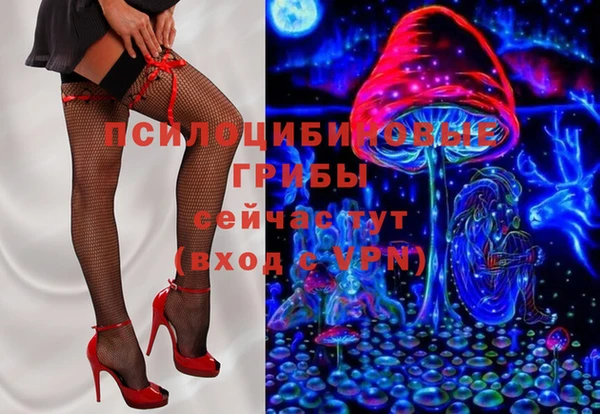амф Зеленодольск