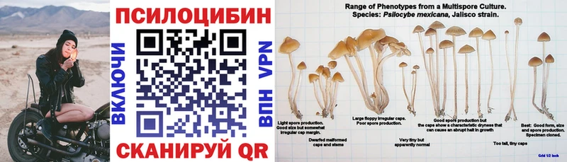 Купить где  Вязьма  Галлюциногенные грибы прущие грибы 